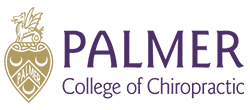 Palmer-1